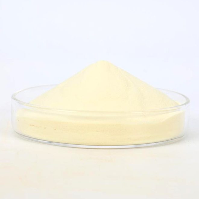 Alpha Lipoic Acid