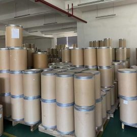 Ginkgo biloba extract CAS 90045-36-6