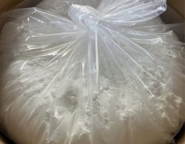 Zinc L-Carnosine
